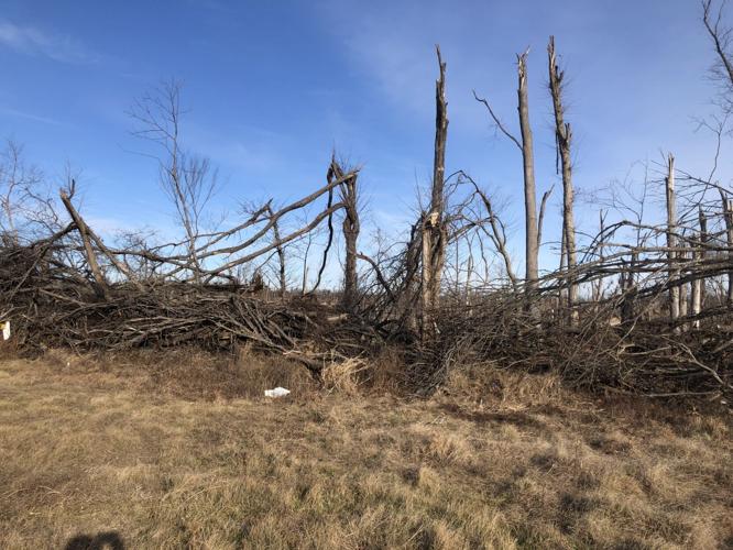 Williamson County adopts community wildfire protection plan | Latest ...