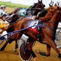 State fair harness racing gets off to remarkable start | Local News ...