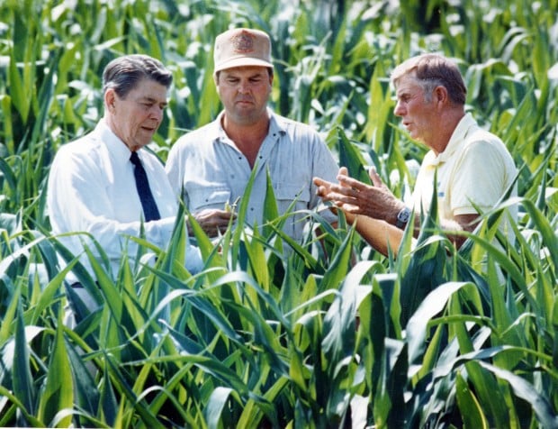 Reagan Corn Recalling Reagan | Local News | thesouthern.com