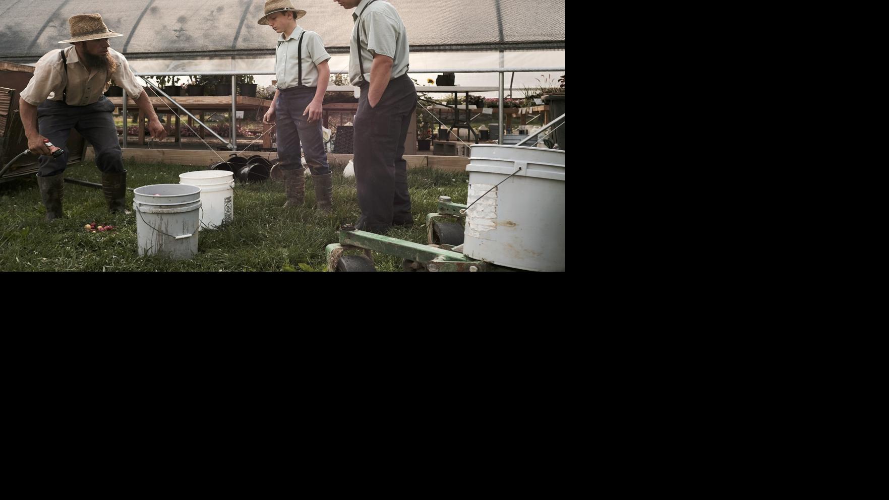 A simple life Taking a look inside the Amish community in Ava Local