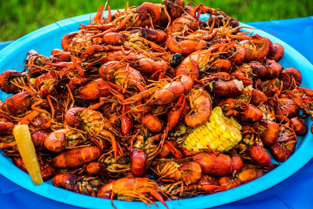 cajun-nation-cajun-seasoning-seasoning-and-spice-cajun-seasoning