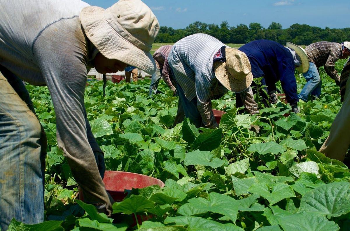 Seasonal Labor Visa program changes the face of Southern ...