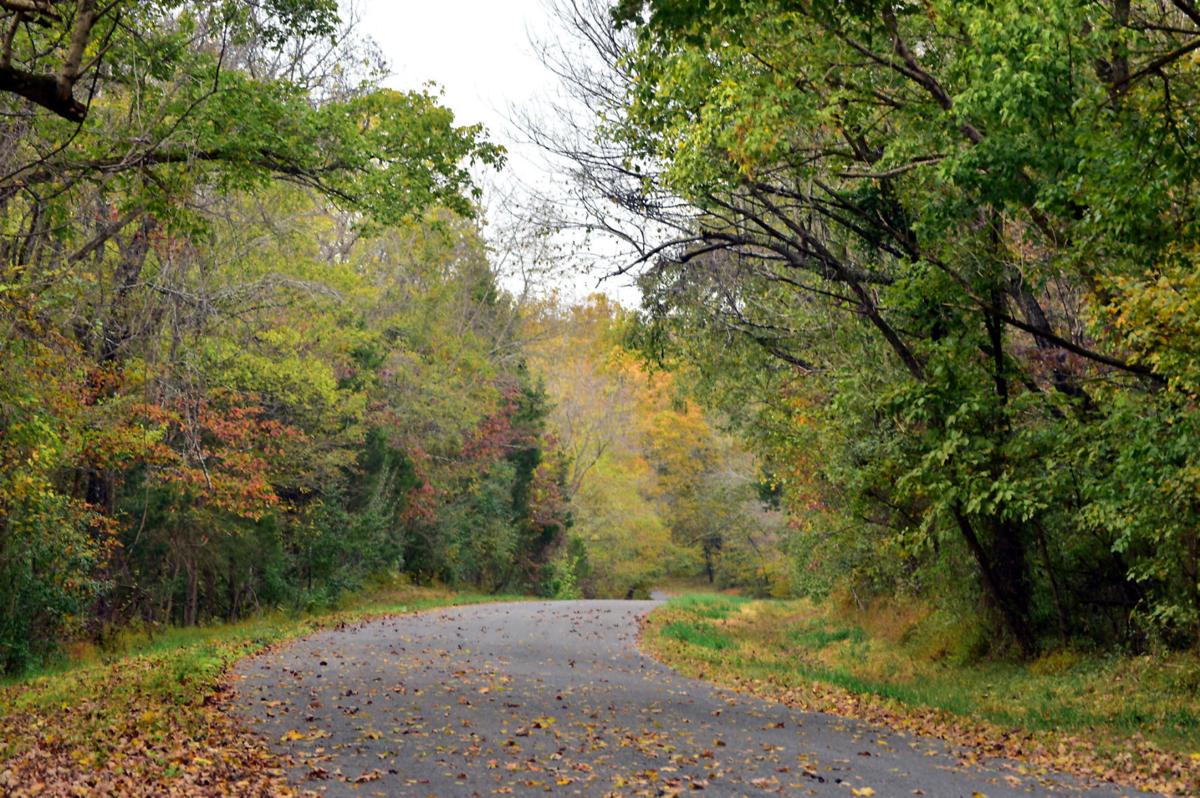 Signs of Fall