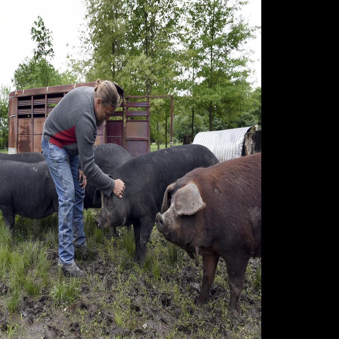 Big Muddy Hogs Brings Flavor To The Table Environment