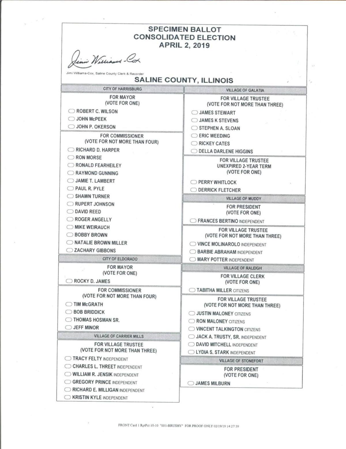 Saline County publication ballot for 2019 consolidated ...