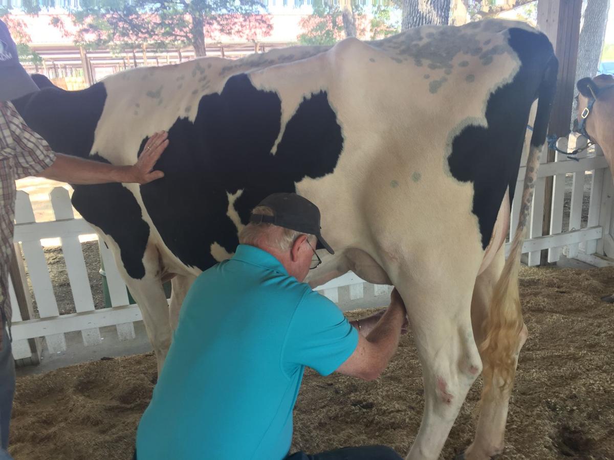 Boy, you're really milkin' it, Winkeler
