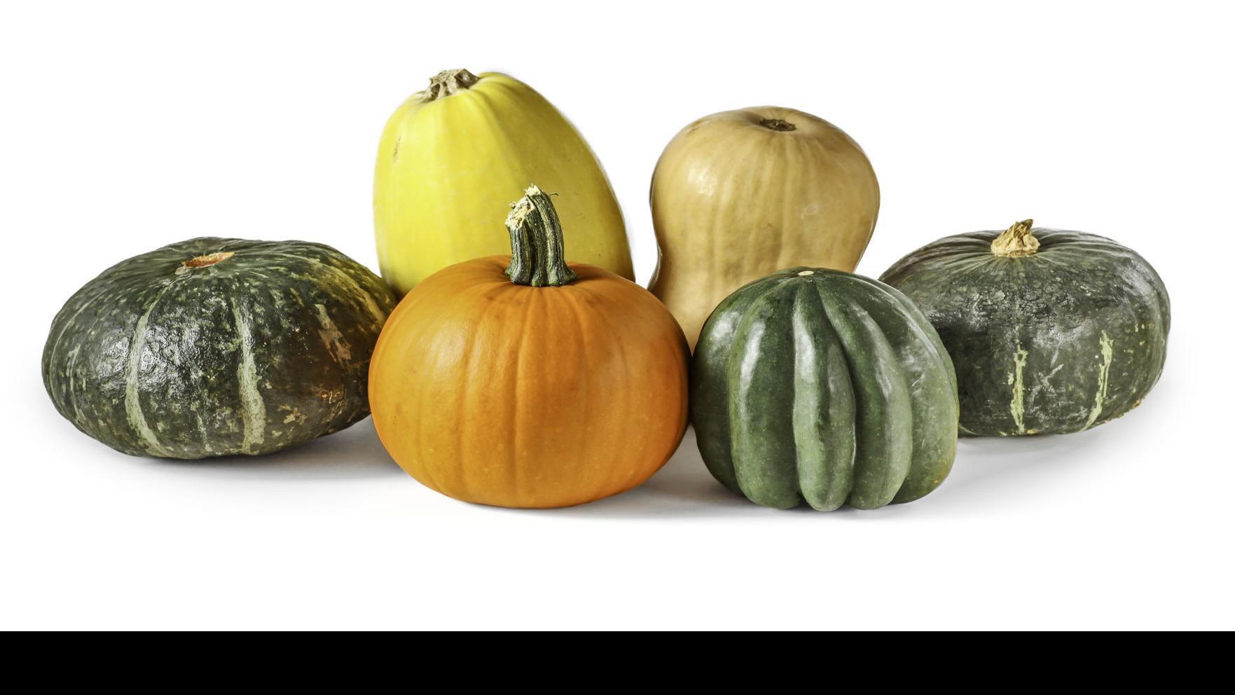 Taste Cornucopia Of Squash Making Winter Squash Varieties Easier To Handle Food Cooking Thesouthern Com