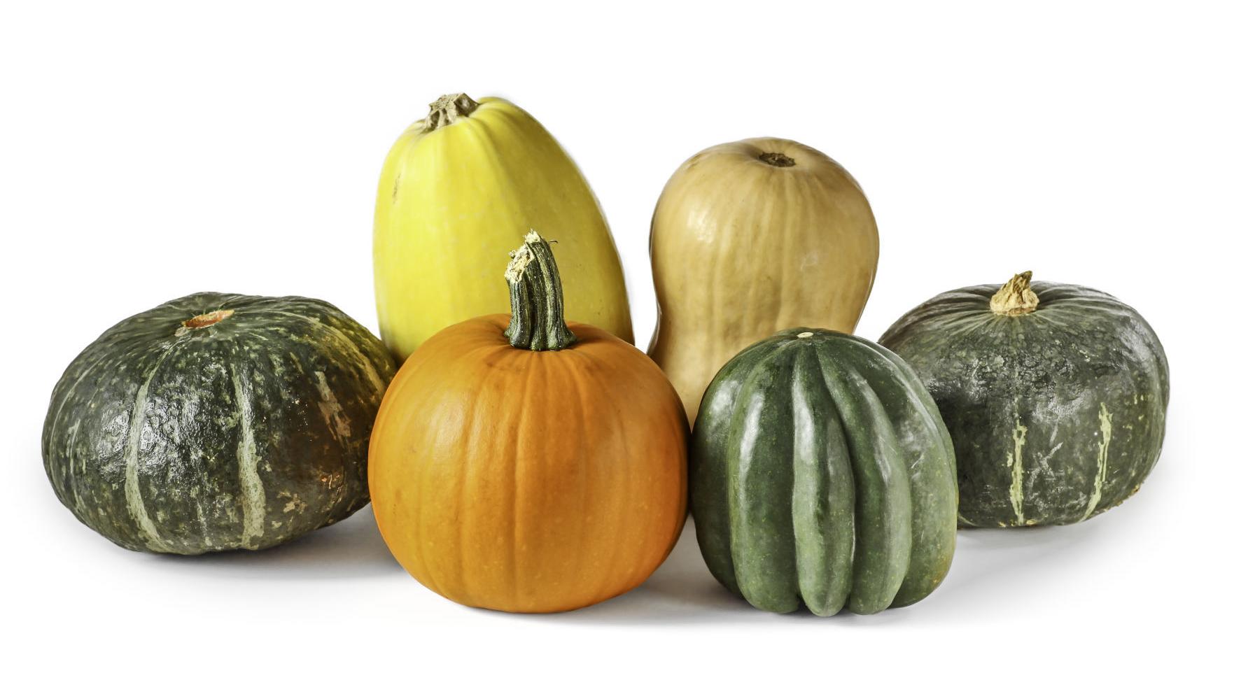 Taste Cornucopia Of Squash Making Winter Squash Varieties Easier To Handle Food Cooking Thesouthern Com Taste Cornucopia Of Squash Making Winter Squash Varieties Easier To Handle Food Cooking Thesouthern Com