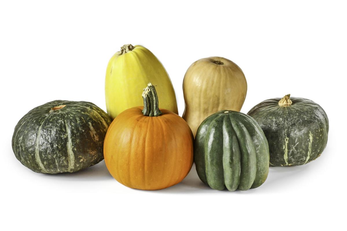 Taste Cornucopia Of Squash Making Winter Squash Varieties