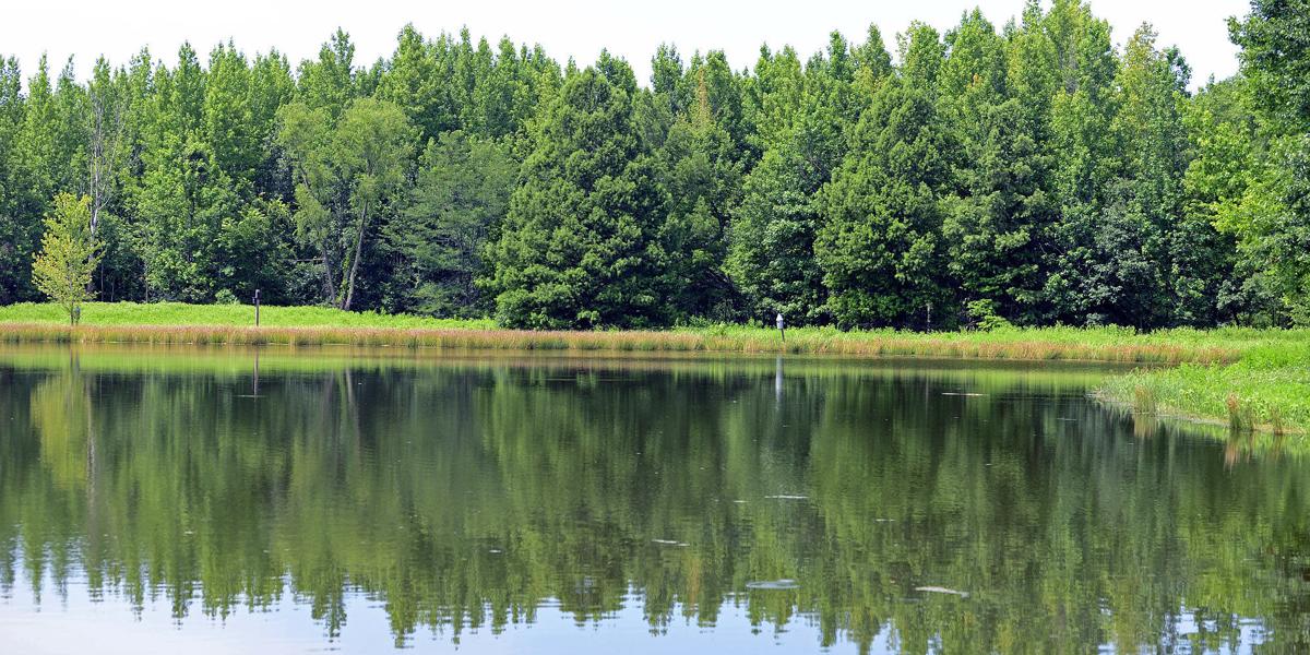 Oakwood Bottoms
