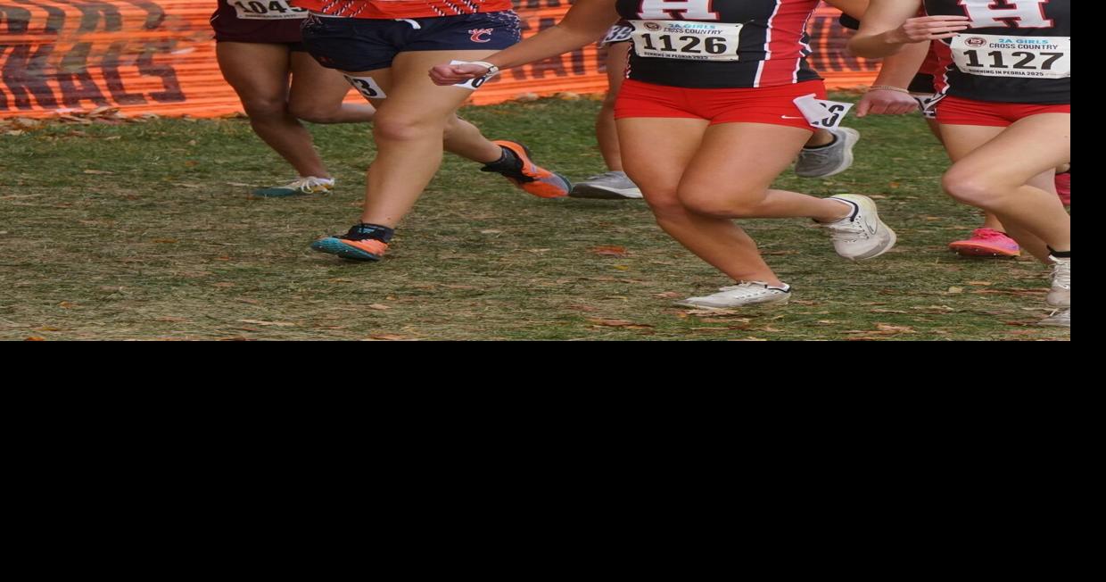 Distance runners shine at state cross country meet | Latest Headlines ...