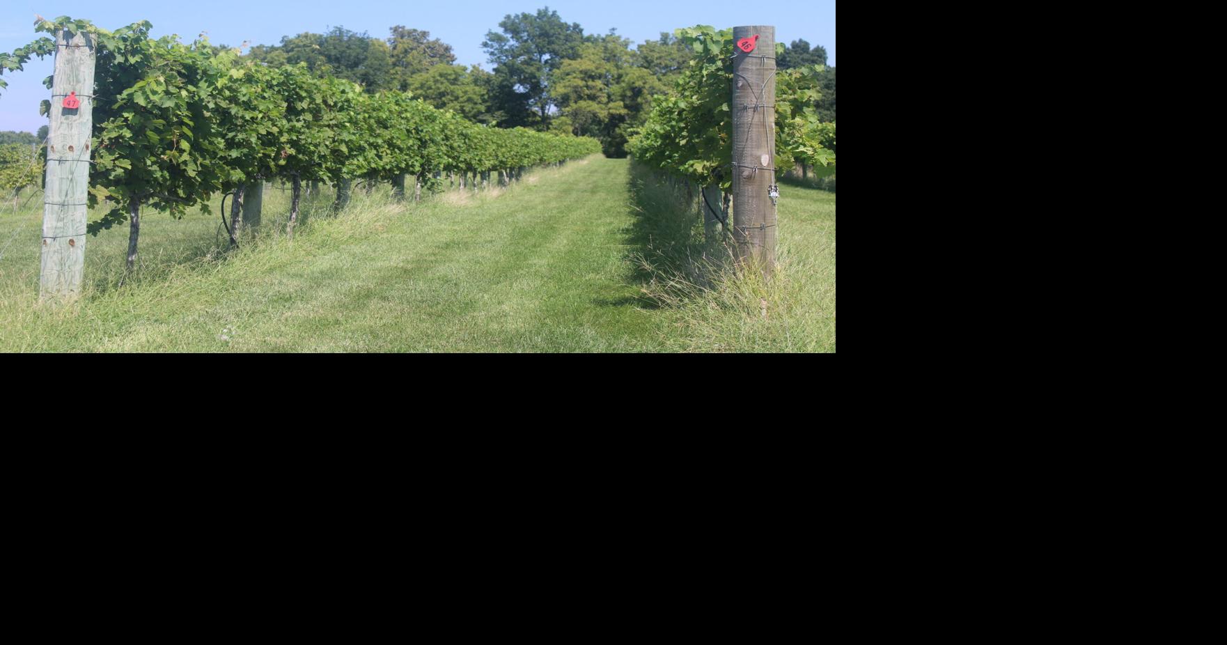 Walker's Bluff closure prompts discussion on property tax burden