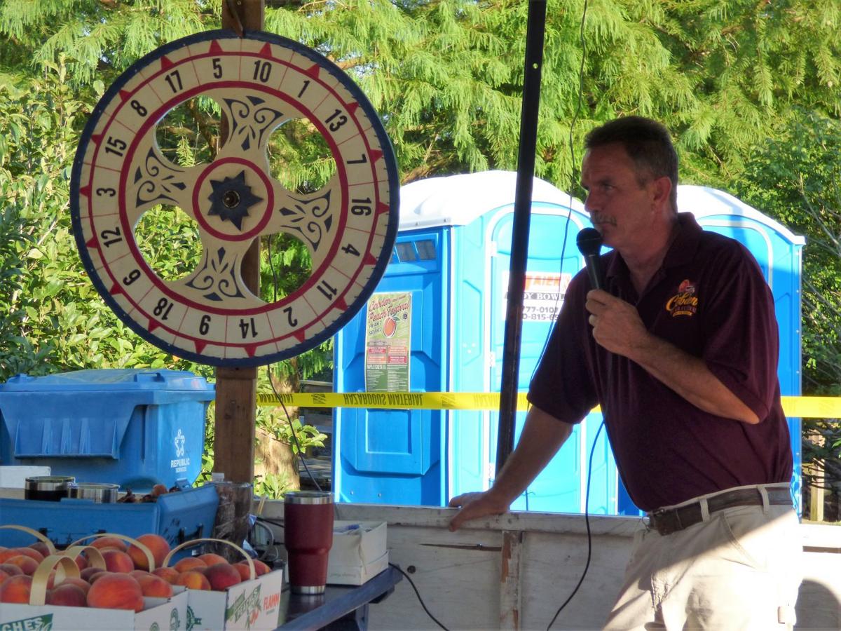 79th annual Peach Festival Cobden is peachy keen for festival fun