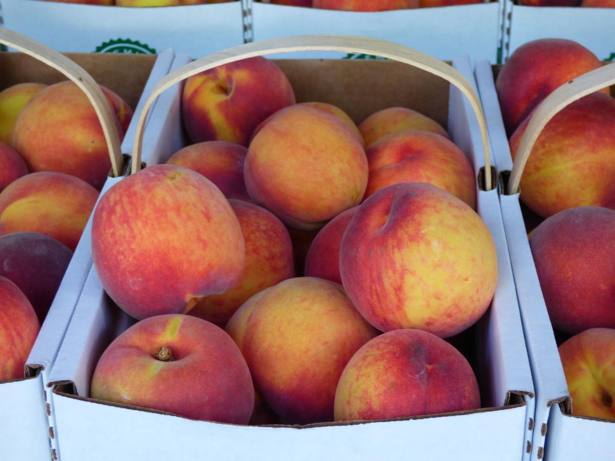 79th annual Peach Festival Cobden is peachy keen for festival fun