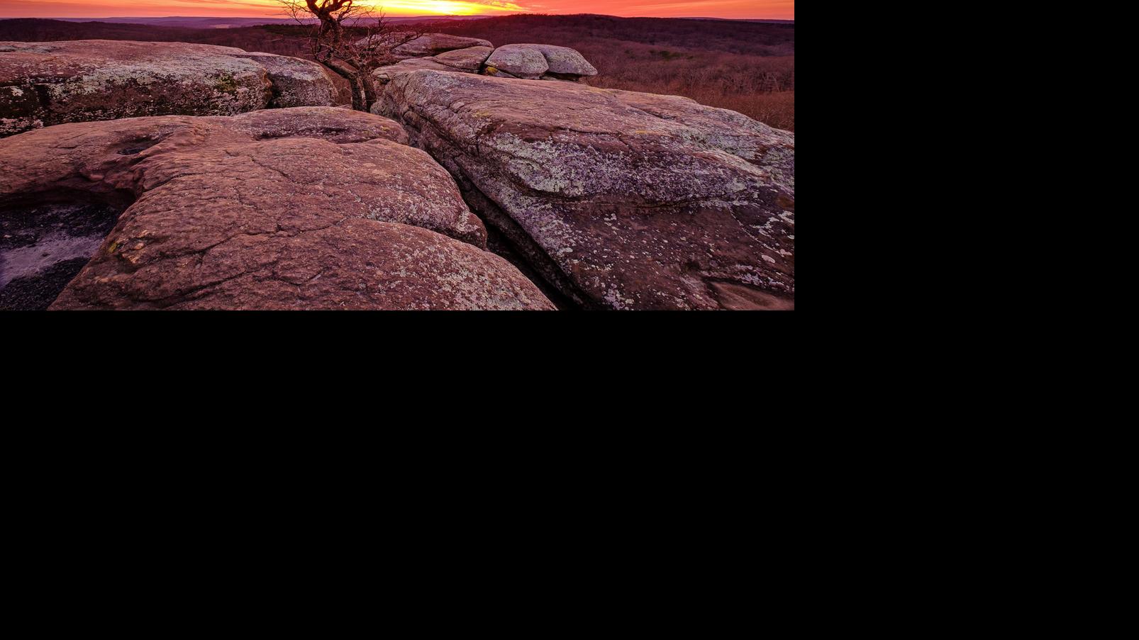 Shawnee National Forest is celebrating its 80th anniversary, so here