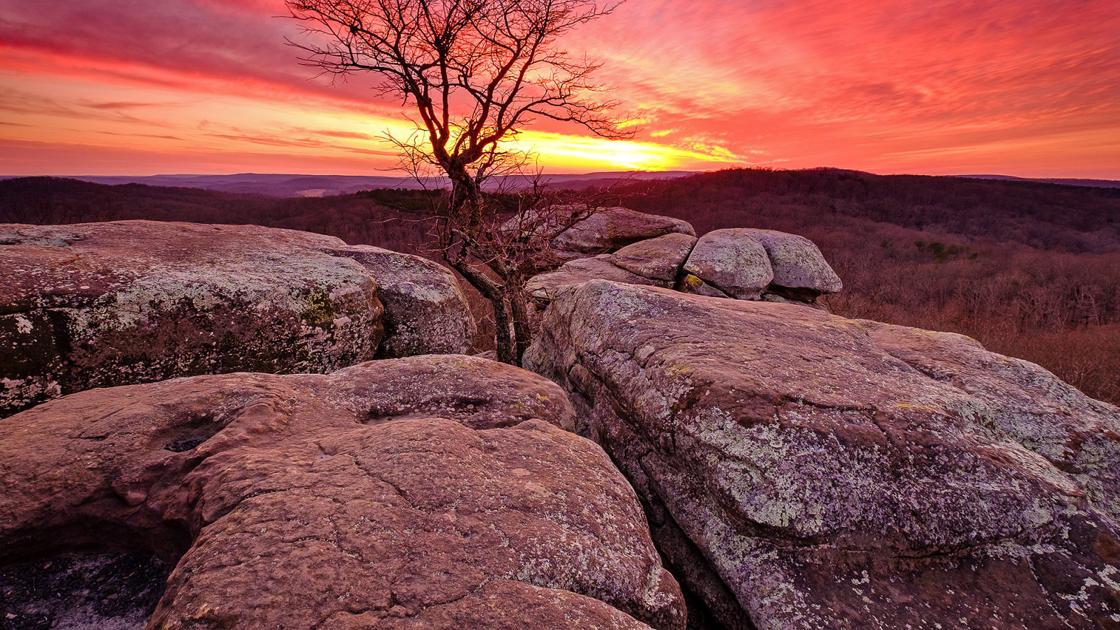 Shawnee National Forest is celebrating its 80th anniversary, so here