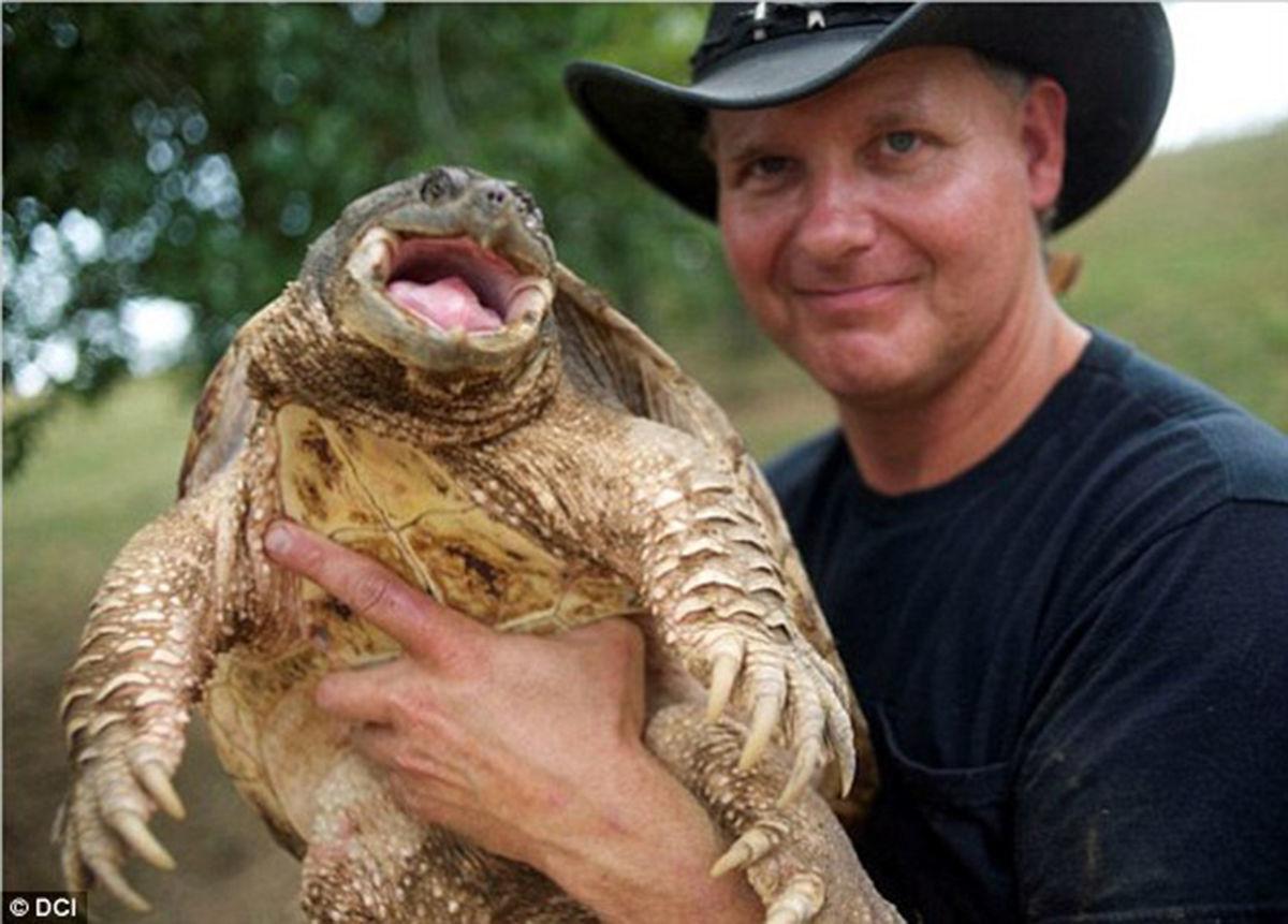 Former Animal Planet star 'The Turtleman' is coming to Carterville