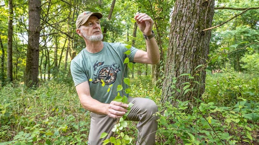 Chuck Ruffner SIU’s Touch of Nature removing invasive plants, restoring native flora ...