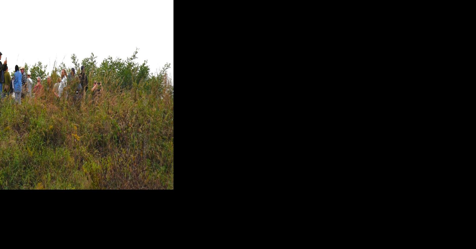 Kincaid Mounds remains a puzzle to archaeologists