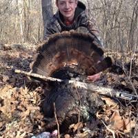 Illinois Turkey Hunting | Recent News Updates Illinois Turkey Hunting | Recent News Updates