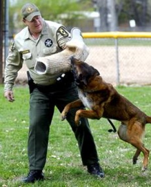 illinois state police k9