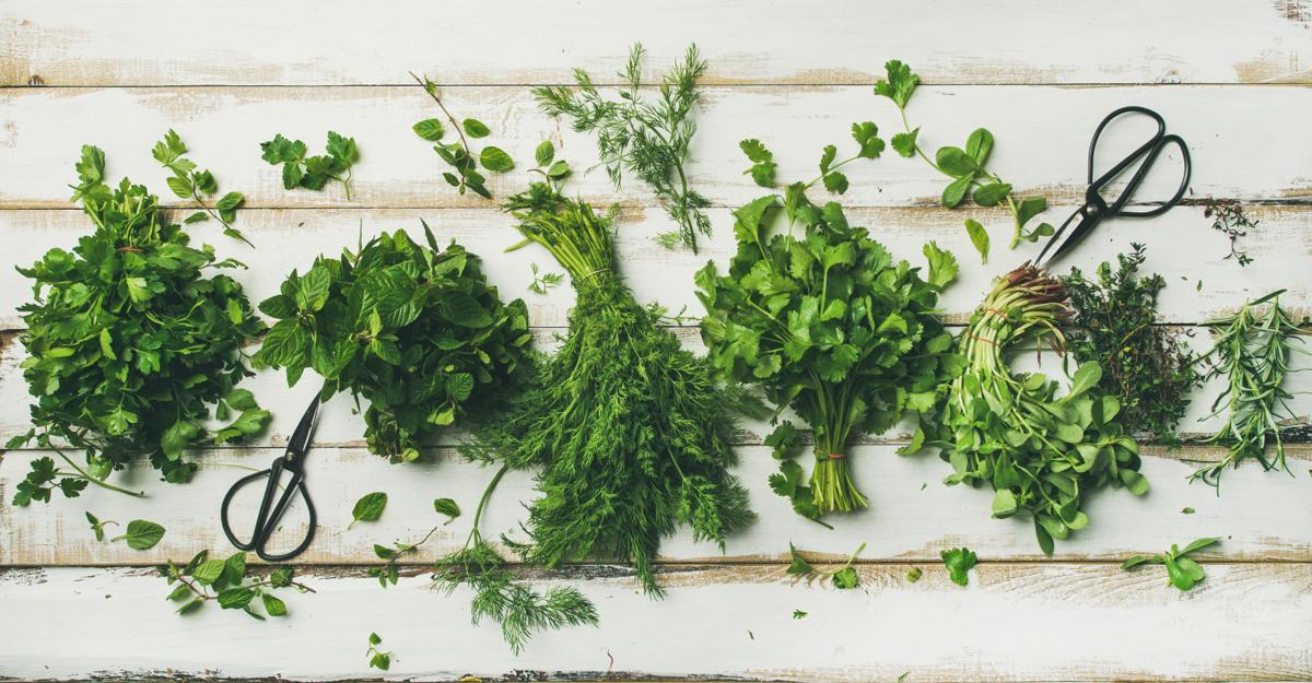 Various fresh green kitchen herbs