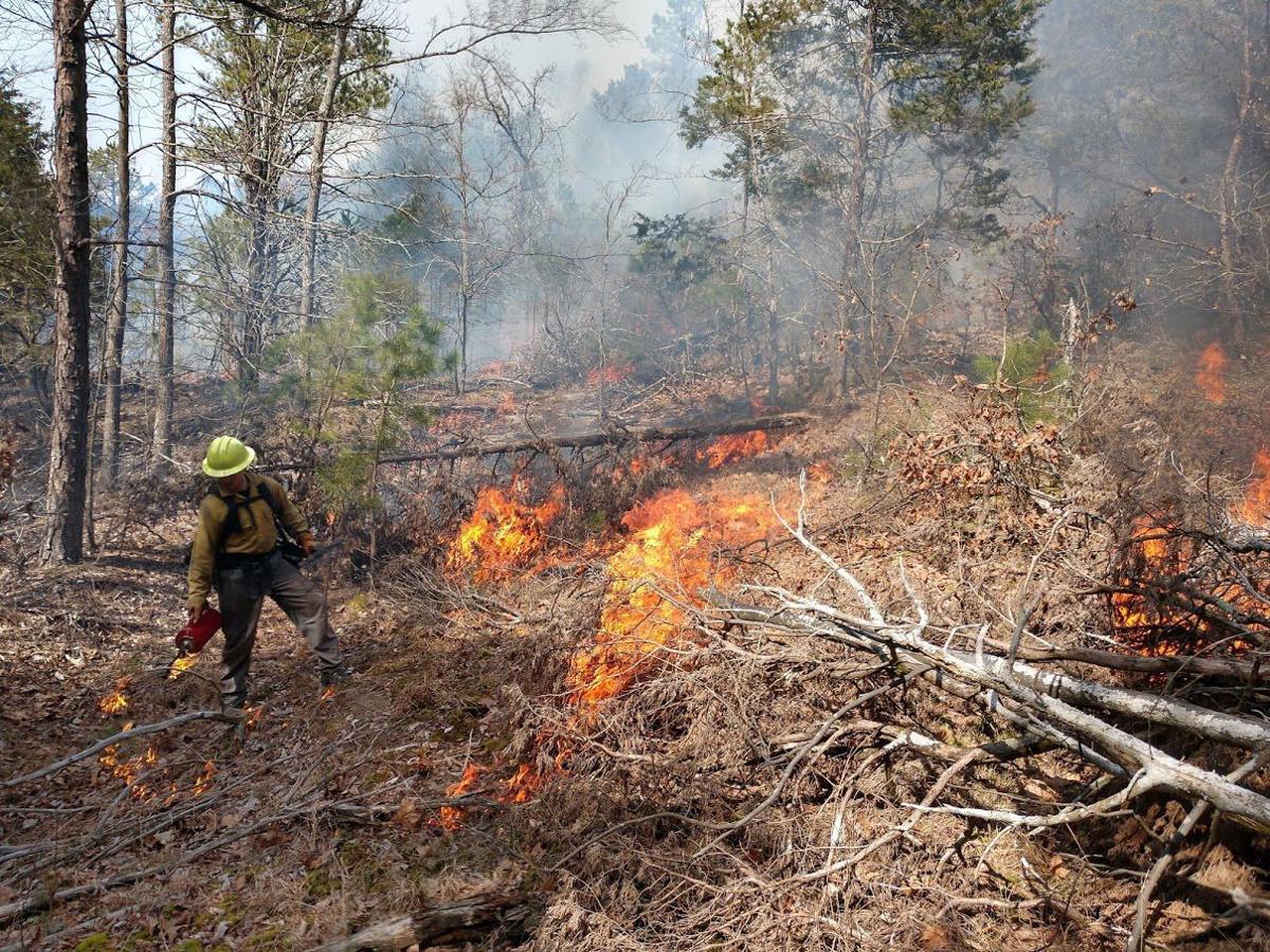 Prescribed fires