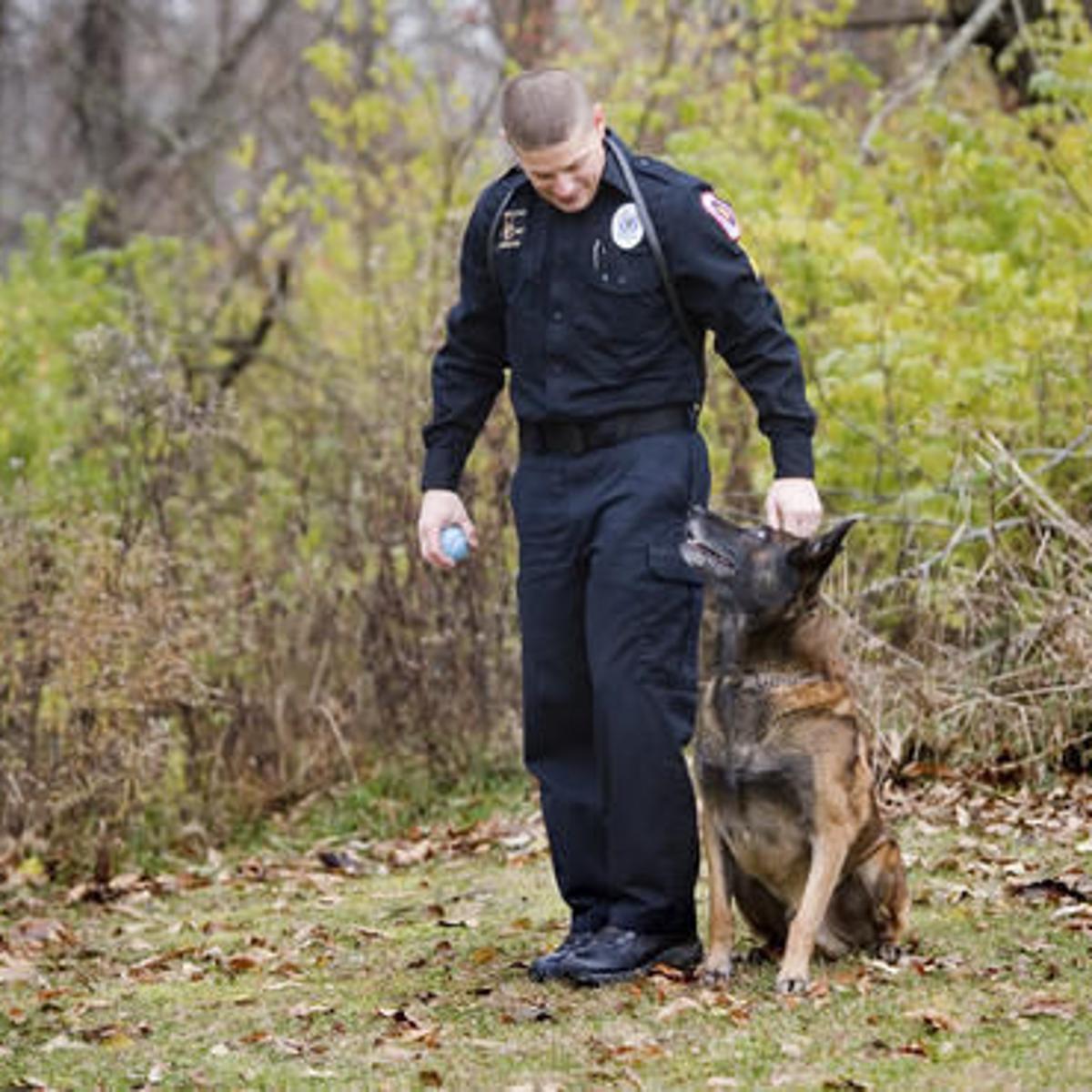 Illinois Police Department K9 Dog Transitions To Family Pet State Region Thesouthern Com