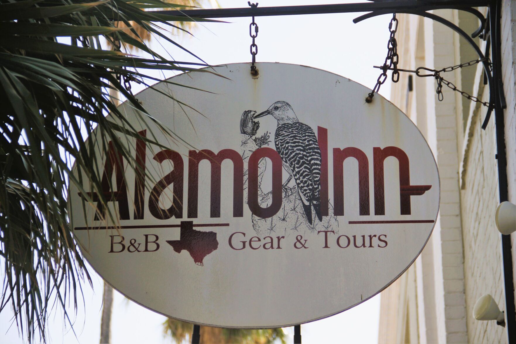 Outdoors | Alamo Inn Marries Birding With Bed And Breakfast | Outdoors ...