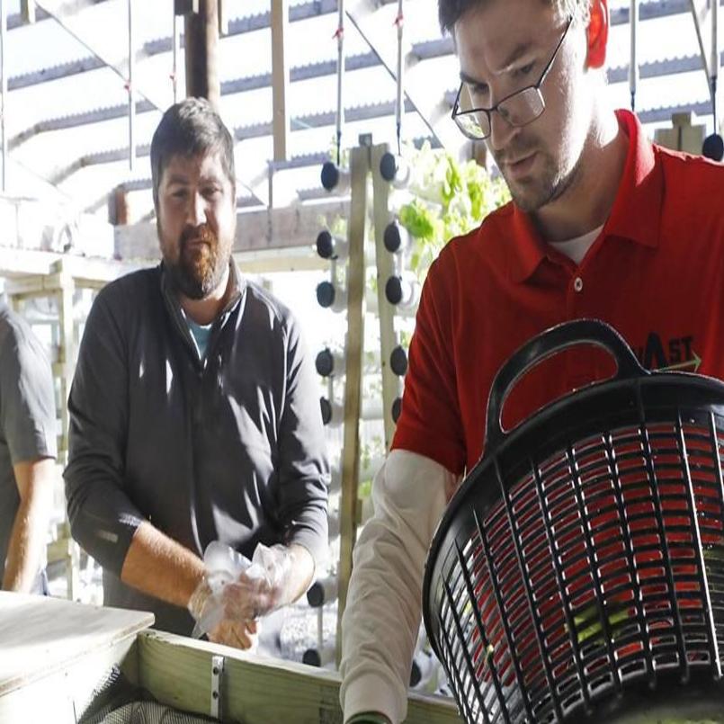 Raising Lettuce And Fish Year Round Brothers Modernize 7th
