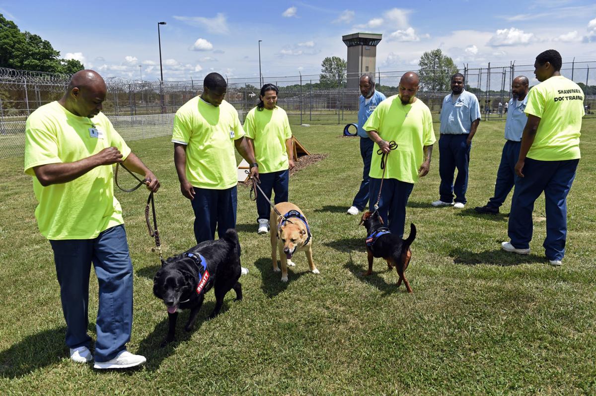At Shawnee Correctional Center, offenders are training shelter dogs to