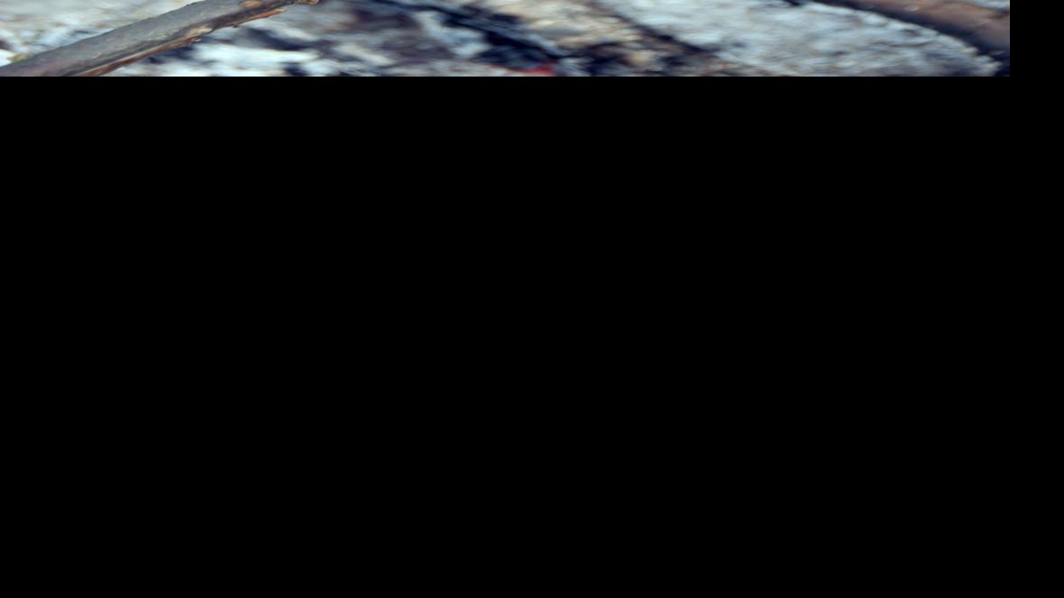 Fall is the perfect time to host a wiener roast Food & Cooking