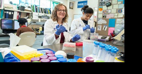 SIU medical researchers seek causes, solutions for pituitary-related conditions - Vimarsana News