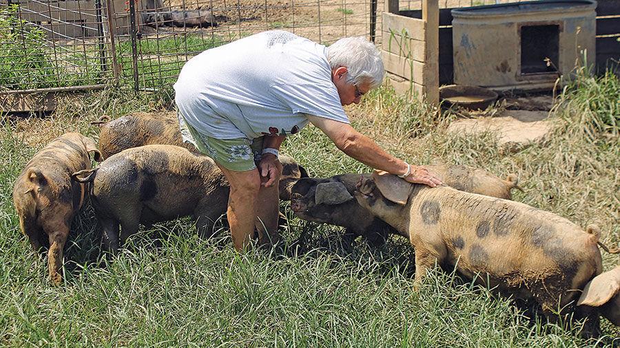 This woman started a small pig farm on a whim. Now she's a Carbondale