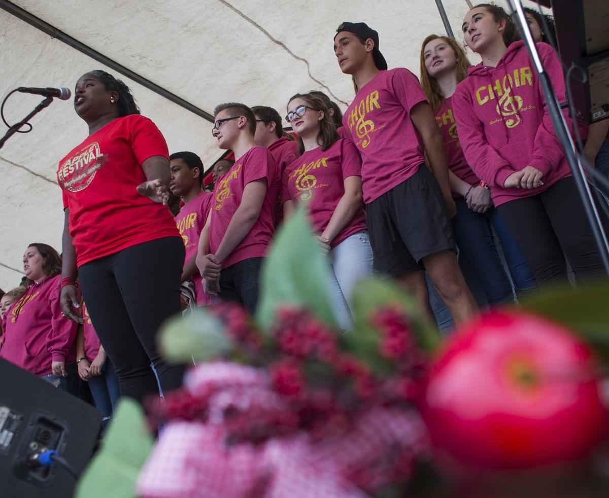 091417-nws-apple-festival-open_0003.JPG