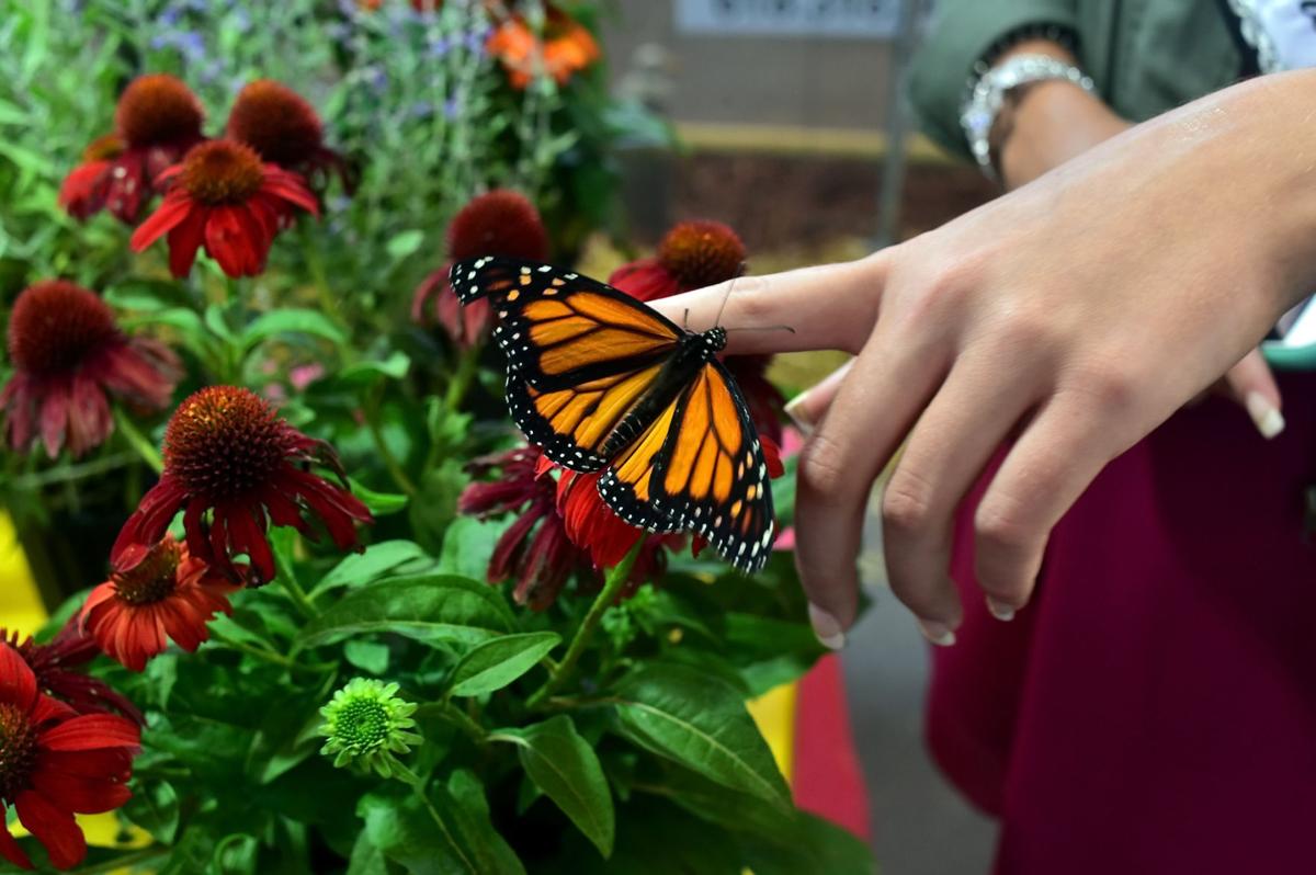 Du Quoin State Fair