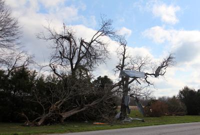 williamson tuesday counties saline tornadoes massac declared disaster hit thesouthern litter johnston galatia chunks hang fields trees along sheet metal