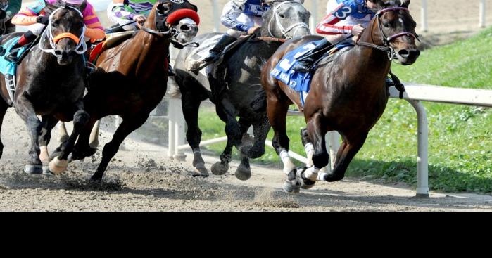 Campbell Hill father and son own champion racehorse | Local News ...