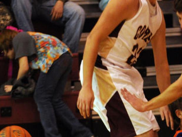 Second Half Run Leads Vienna Over Cobden High School Sports