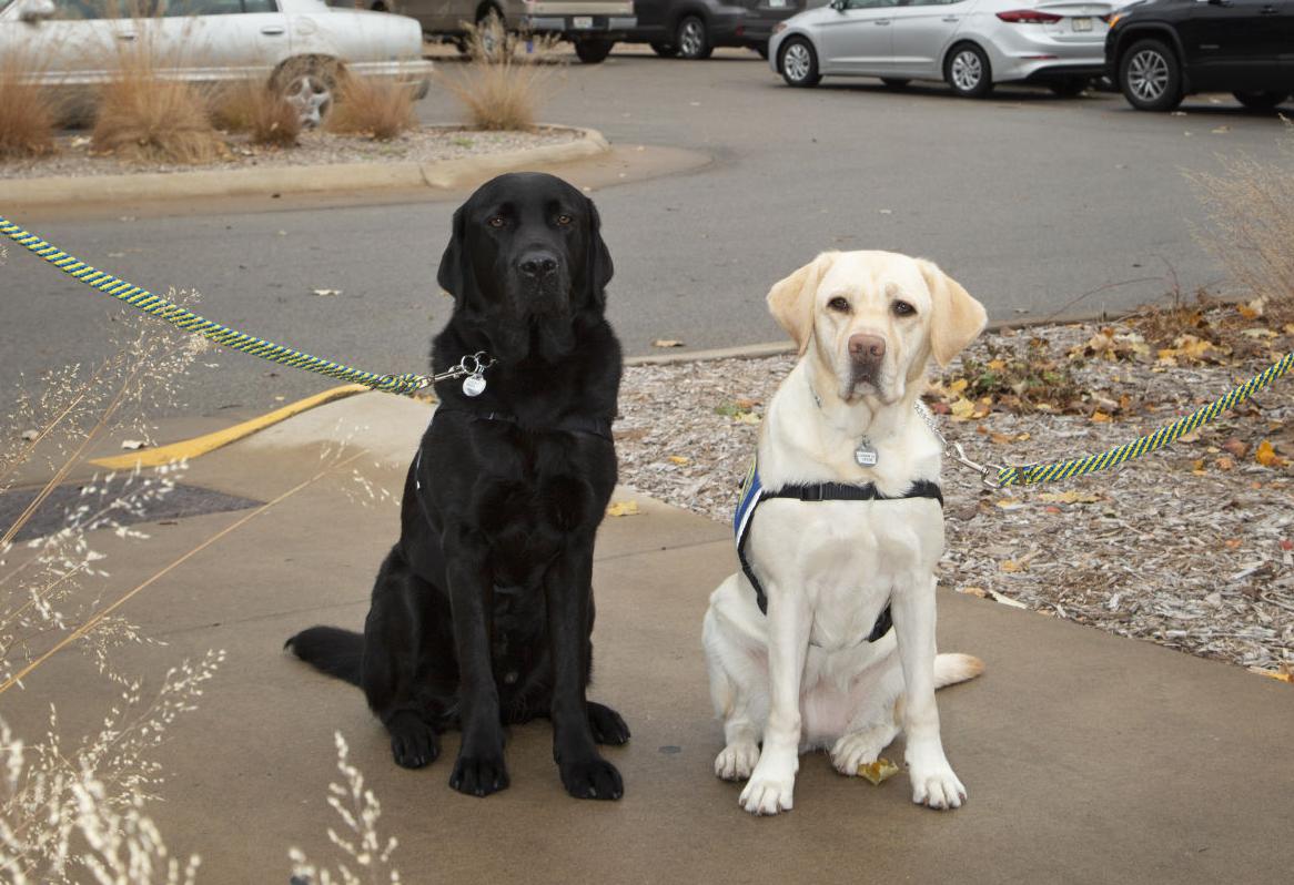 Luca and Luna