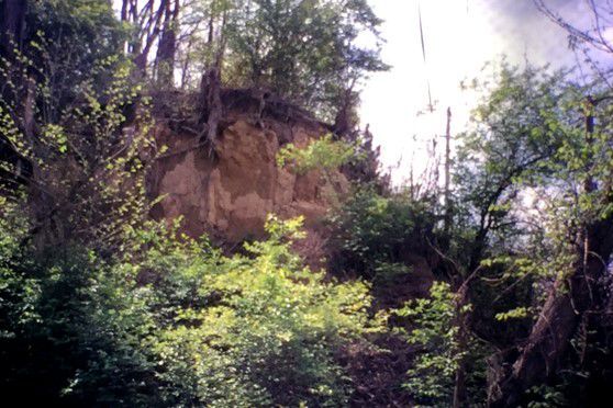 McNairy Outcrop