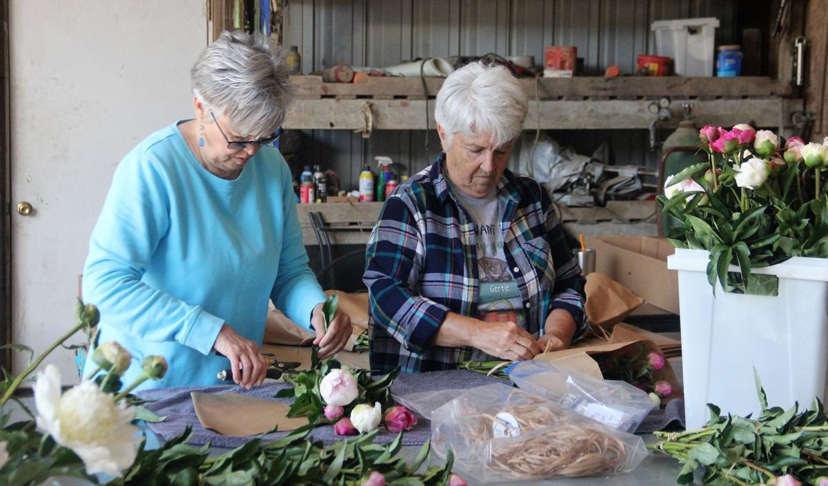 In Our Backyard Peony Hill Farm A Growing Business In Southern Illinois Life Style Magazine Thesouthern Com