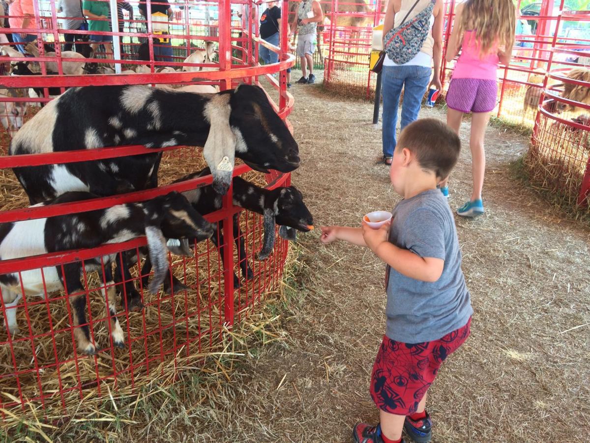 Petting Zoo at the 2017 Du Quoin State Fair