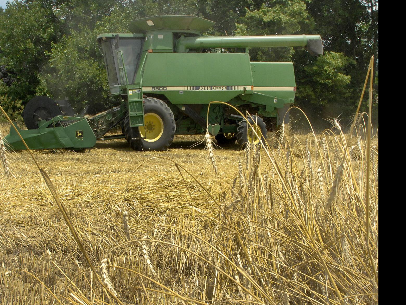 Winter Wheat Harvesting Underway In Central Illinois State