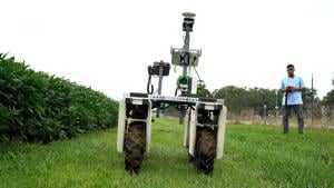 SIU researchers build robot, AI to detect soybean diseases before symptoms appear