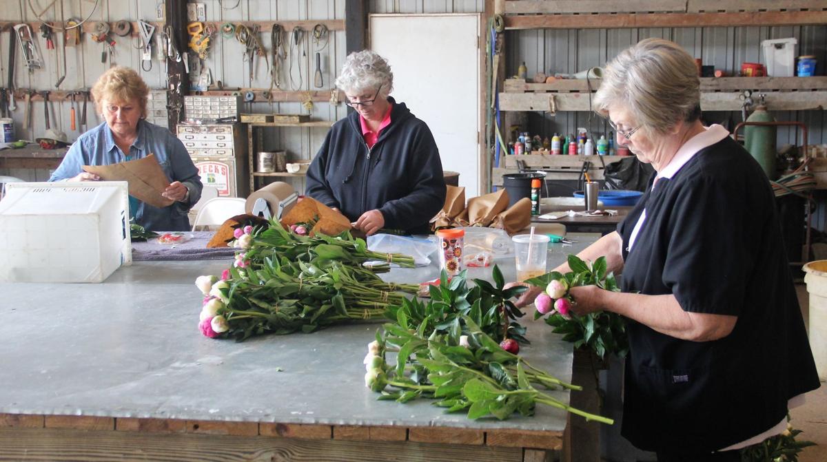 In Our Backyard Peony Hill Farm A Growing Business In Southern Illinois Life Style Magazine Thesouthern Com