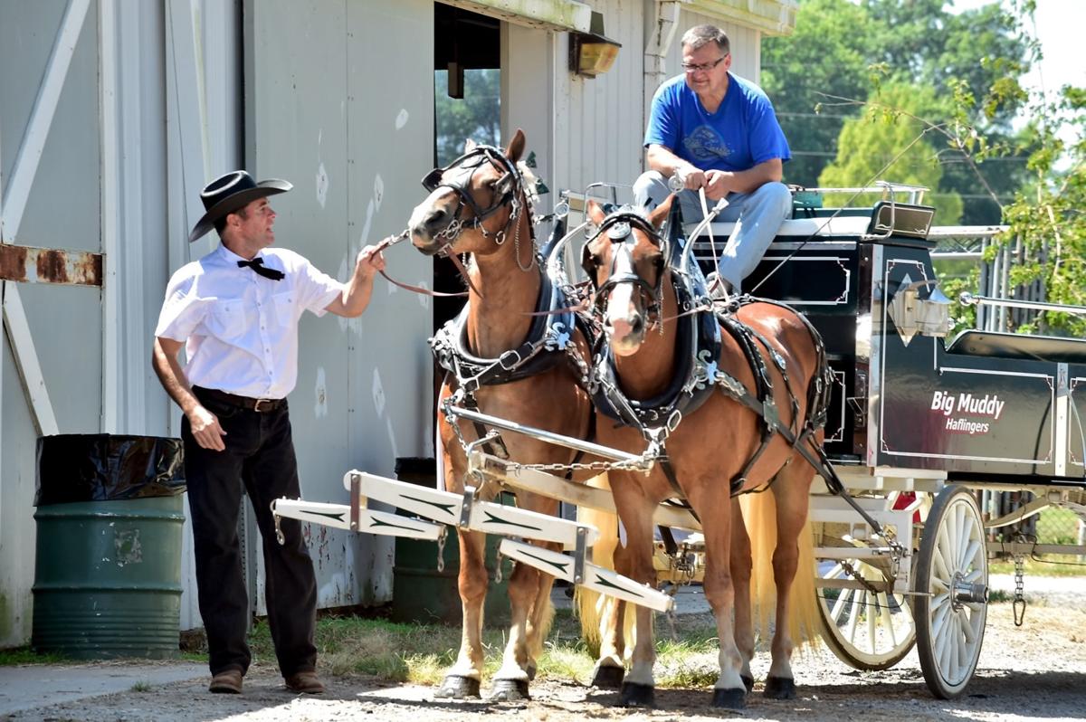 Du Quoin State Fair