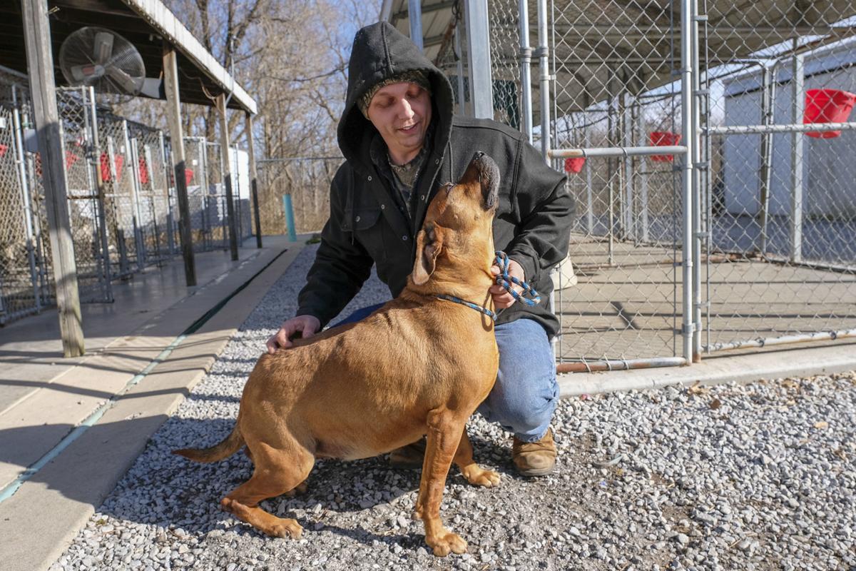 These Southern Illinois shelter pets have been waiting ...