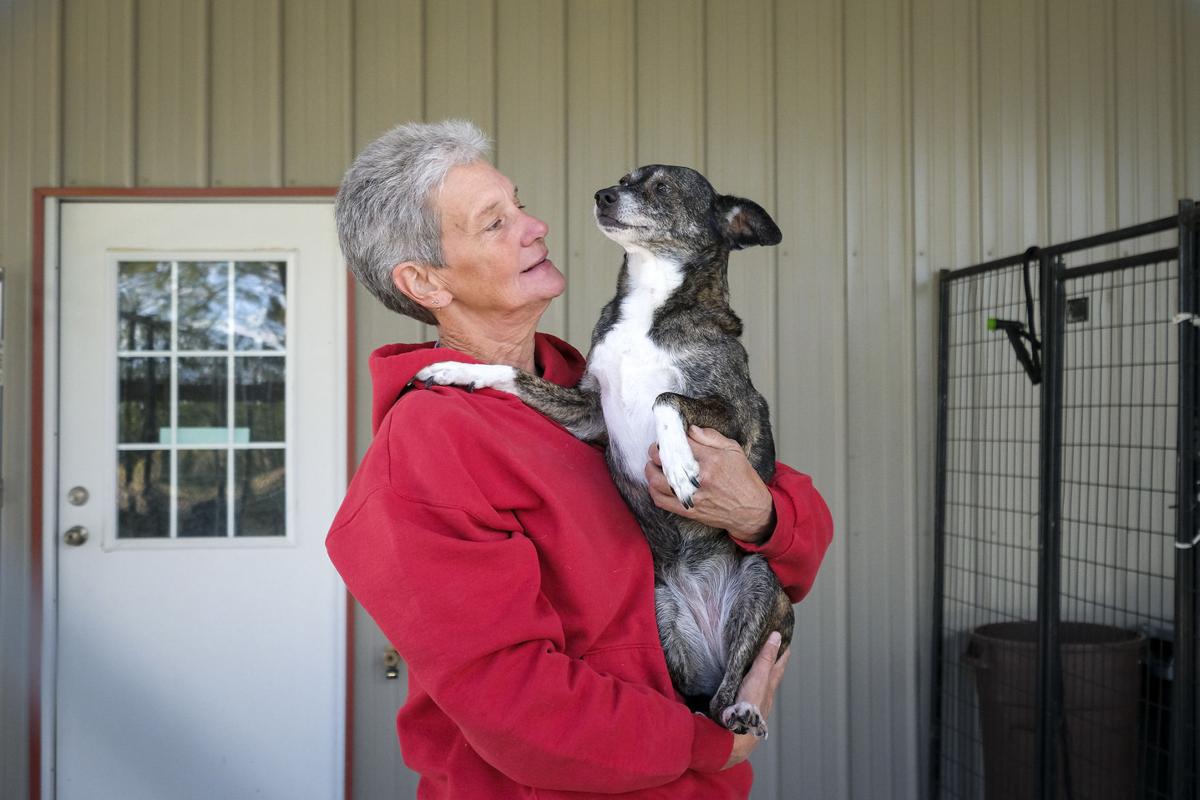 'Dreams do come true' PAWS nears completion of new animal shelter in Anna Local News