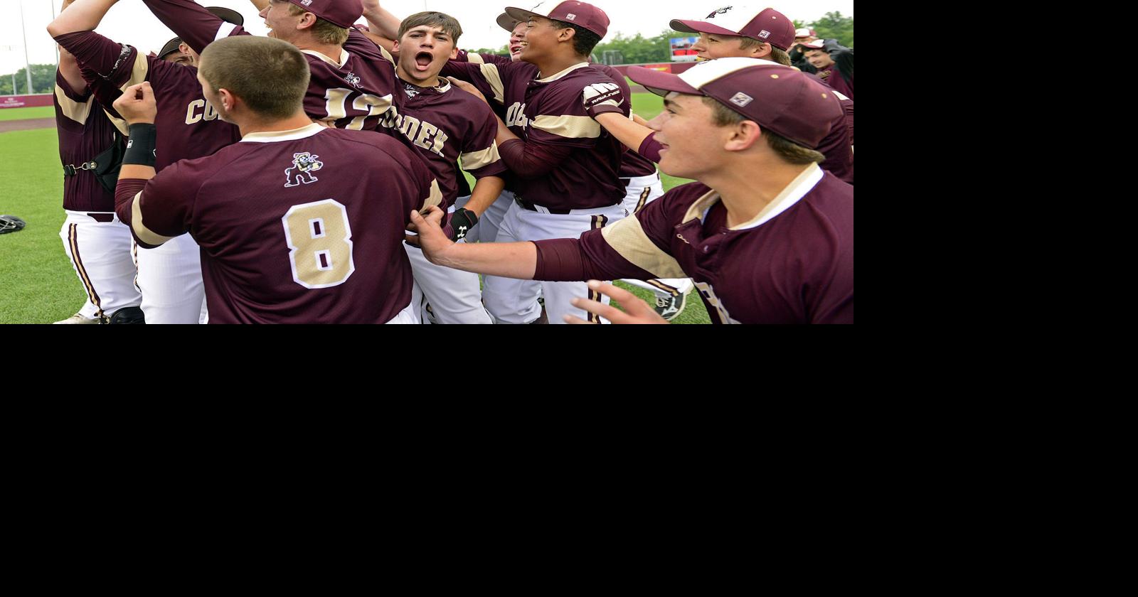 Cobden tops Neoga for secondever state baseball berth